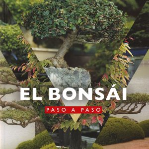 EL BONSAI PASO A PASO