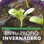 COMO CULTIVA REN TU PROPIO INVERNADERO